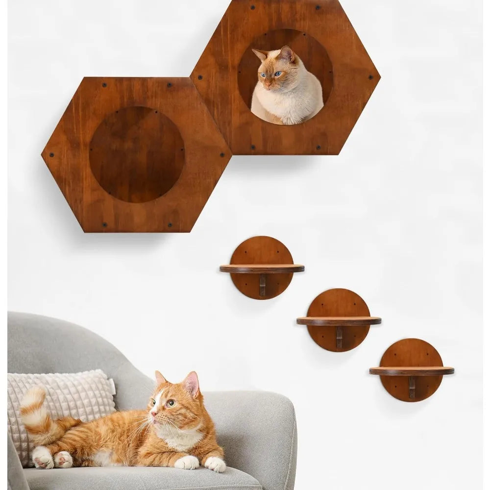 Cat Wall Furniture