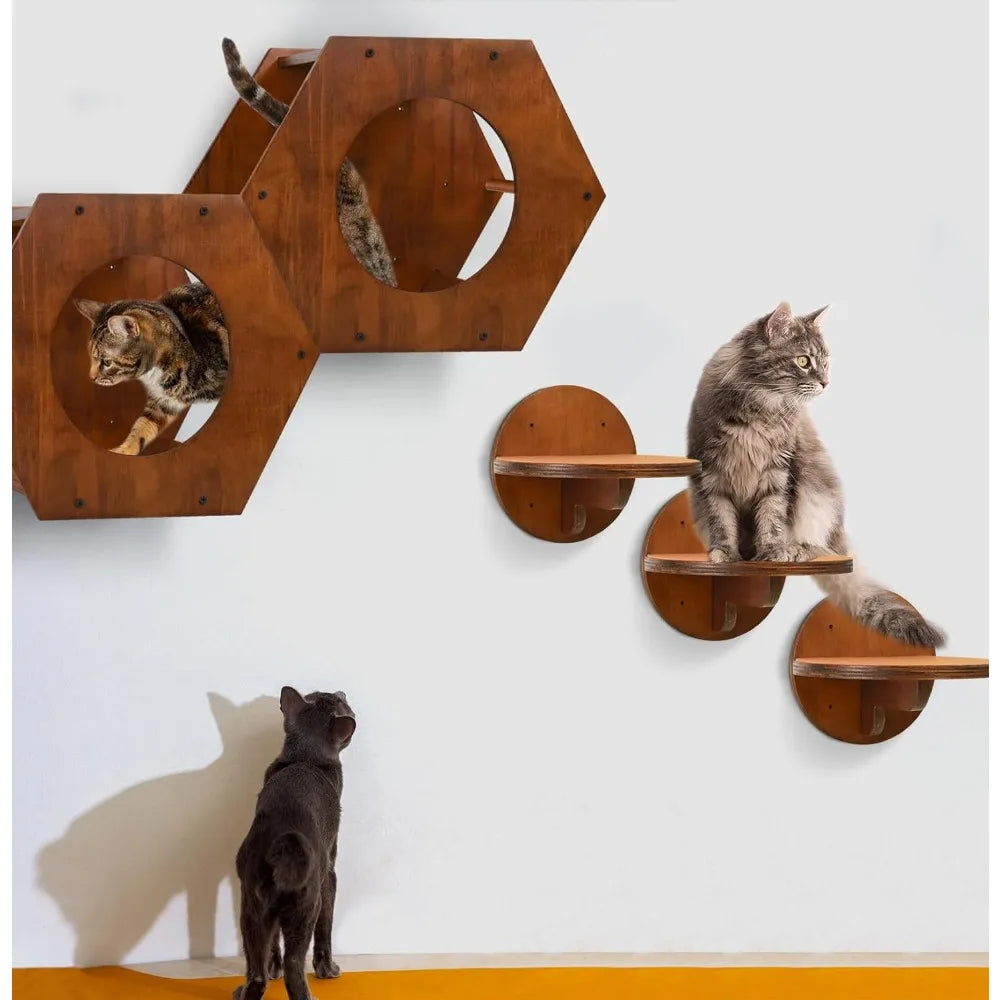 Cat Wall Furniture